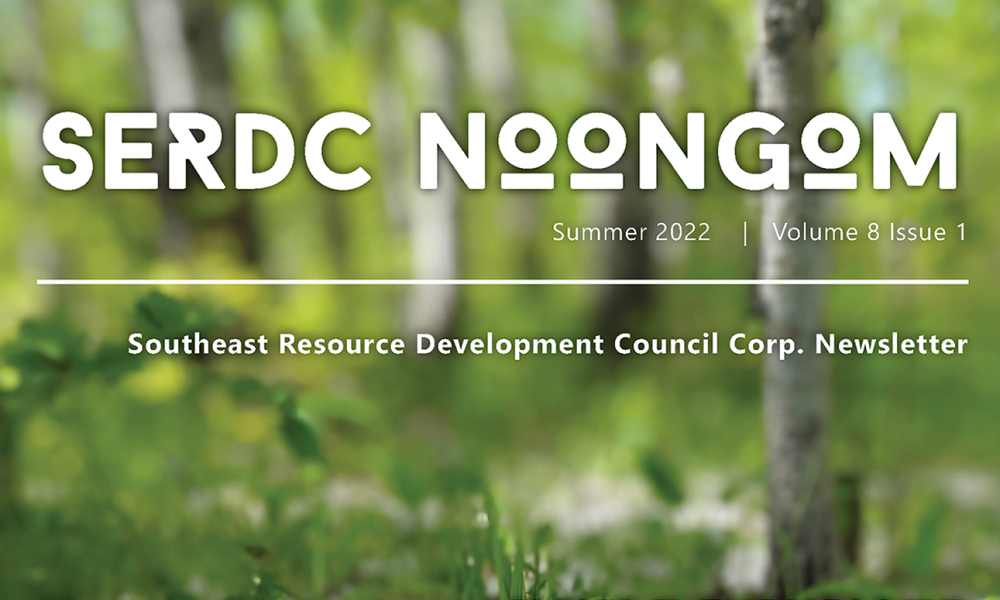 newsletter