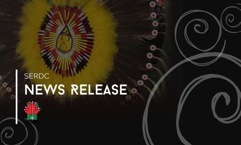 news release